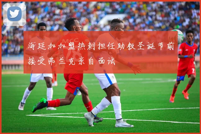 海廷加加盟热刺担任助教圣诞节前接受弗兰克亲自面试